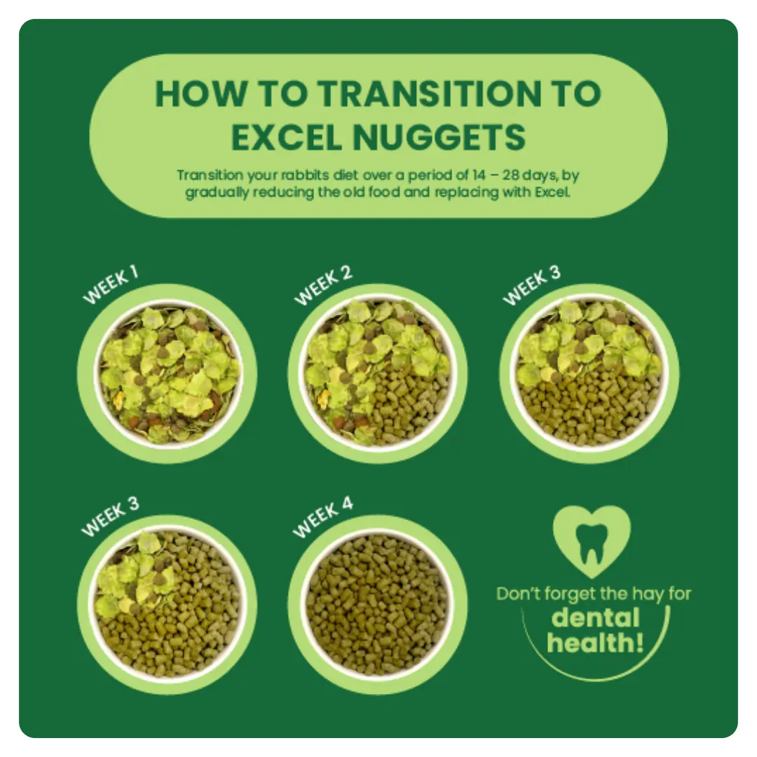 Excel Adult Rabbit Nuggets with Mint - Image 3