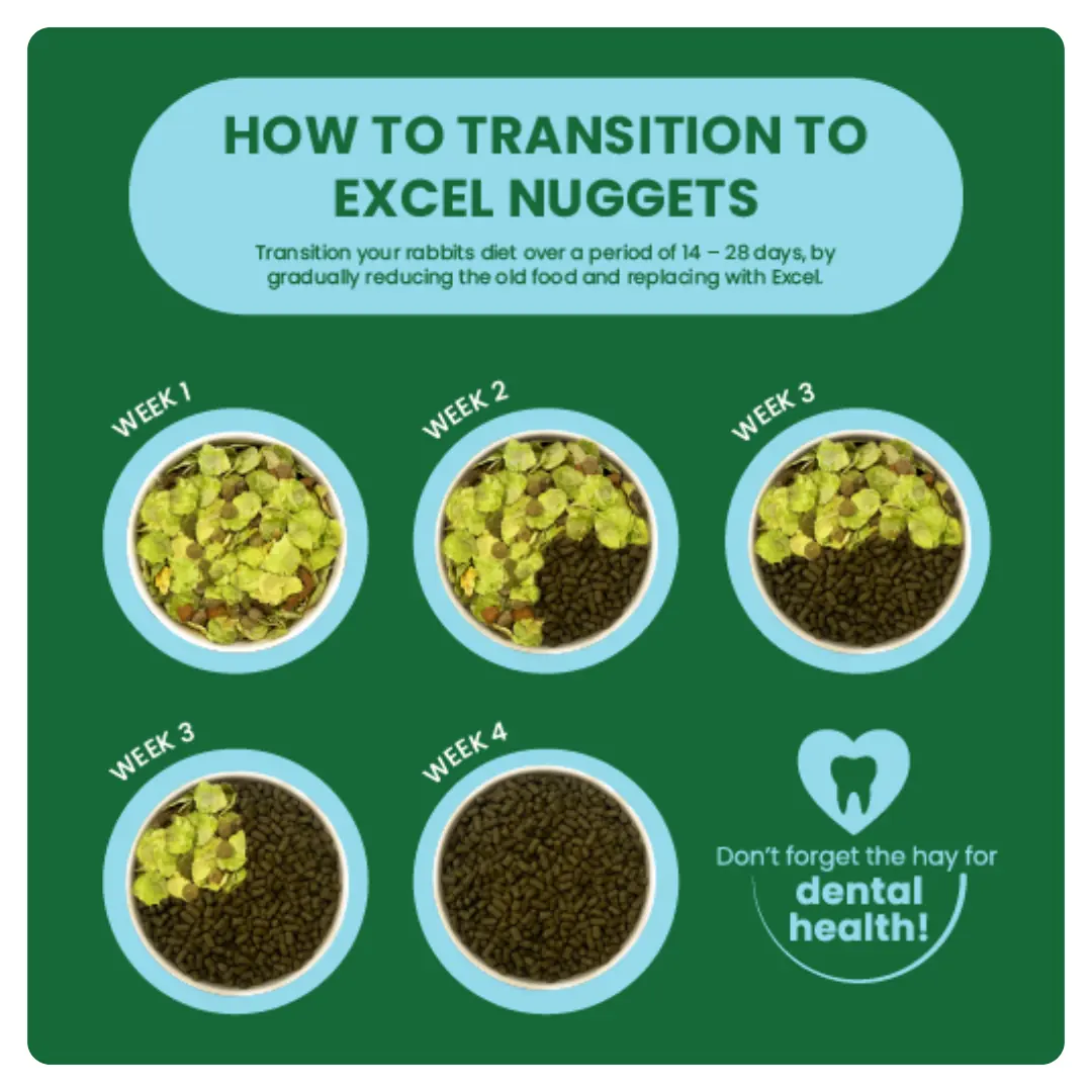 Excel Junior & Dwarf Rabbit Nuggets with Mint - Image 5