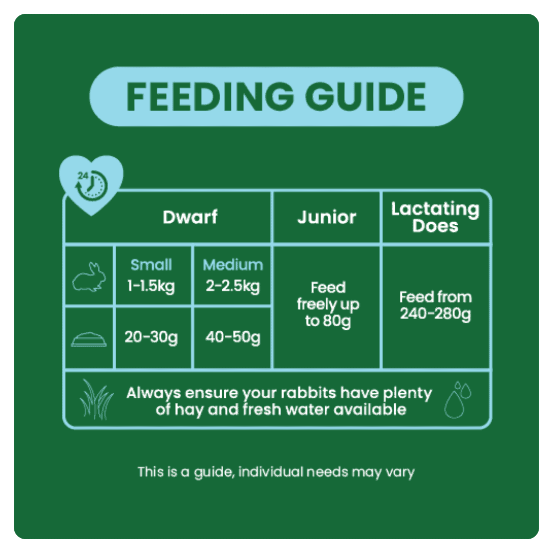 Excel Junior & Dwarf Rabbit Nuggets with Mint - Image 3