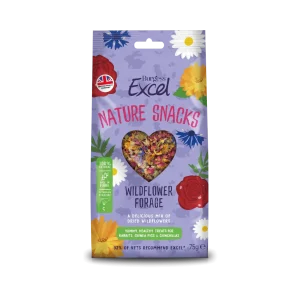 Excel Wildflower Forage