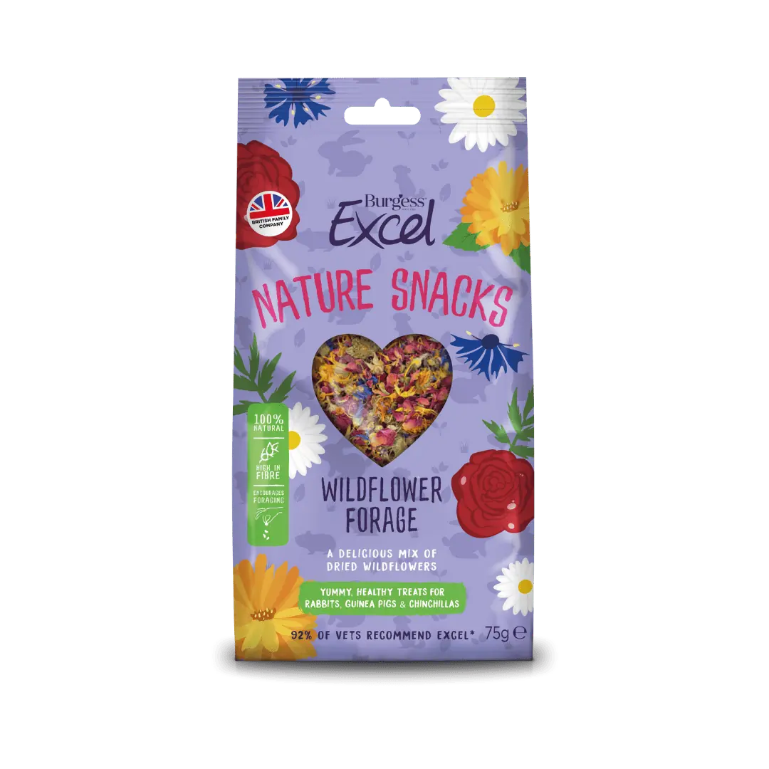 Excel Wildflower Forage
