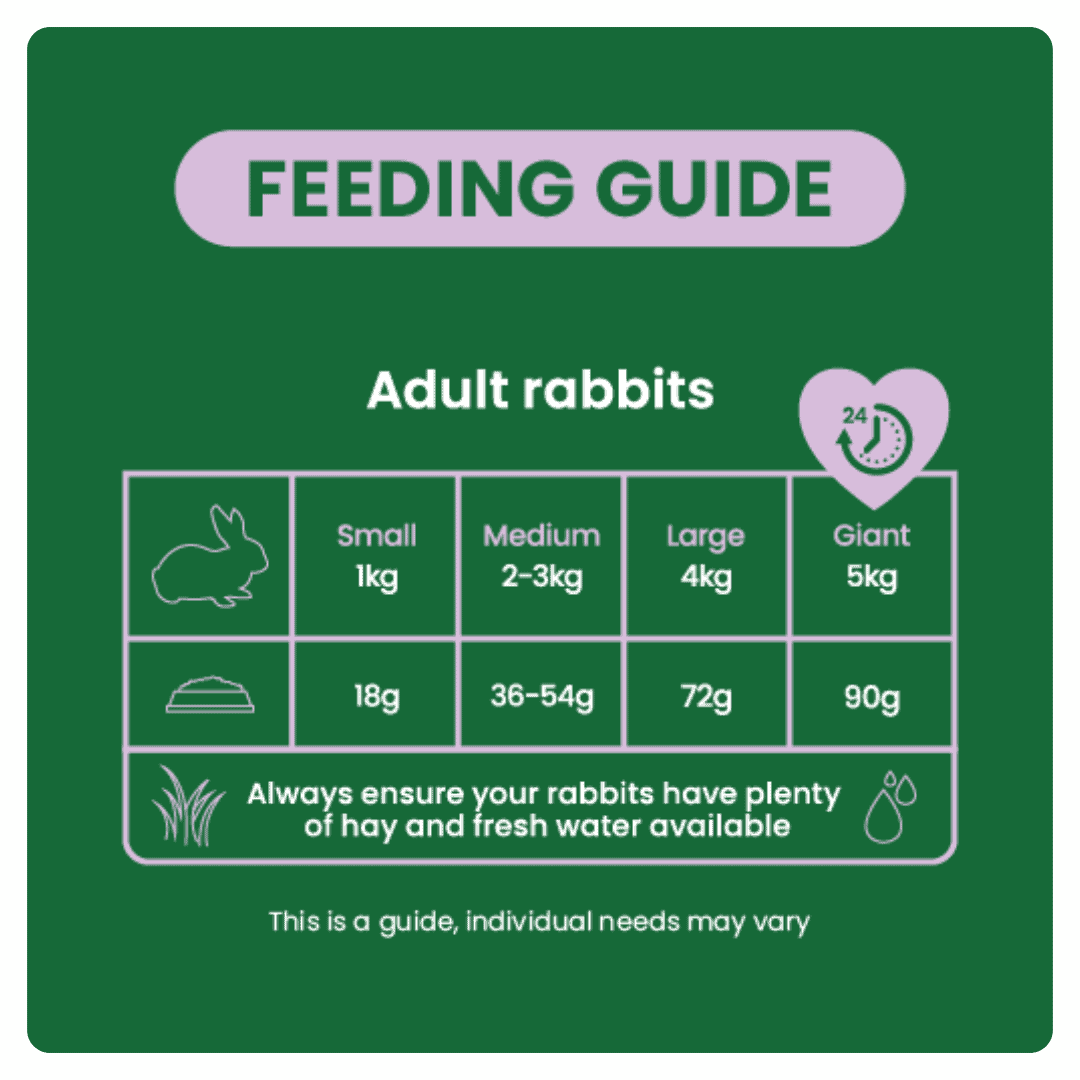 Excel Light Adult Rabbit Nuggets with Mint - Image 3