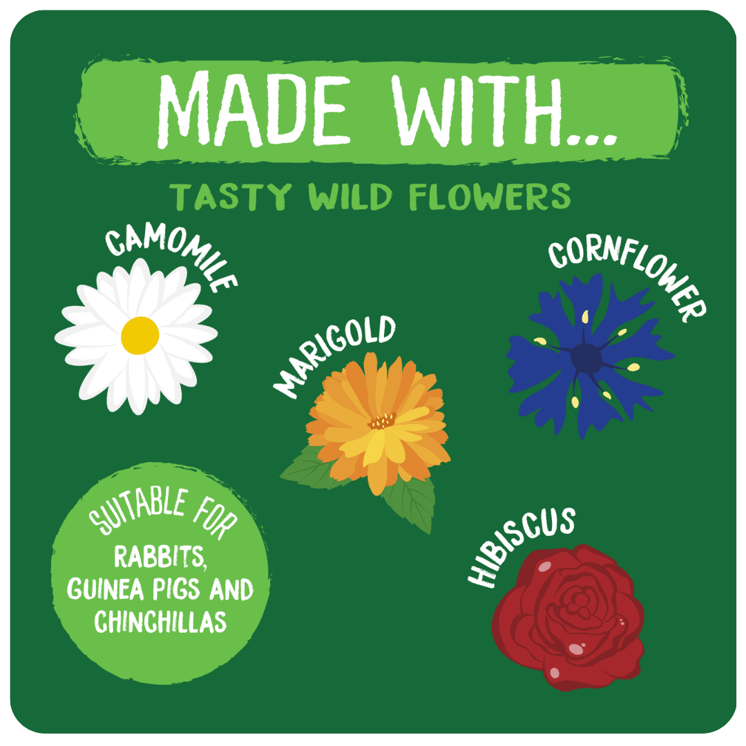 Excel Wildflower Forage - Image 2